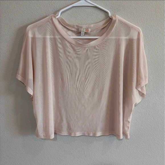 Tops - GB Sheer Mesh Short Sleeve Crop Top M‎ Blush Pink Balletcore Layering Tee